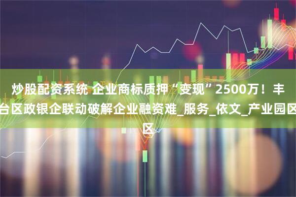 炒股配资系统 企业商标质押“变现”2500万！丰台区政银企联动破解企业融资难_服务_依文_产业园区