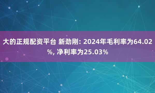 大的正规配资平台 新劲刚: 2024年毛利率为64.02%, 净利率为25.03%