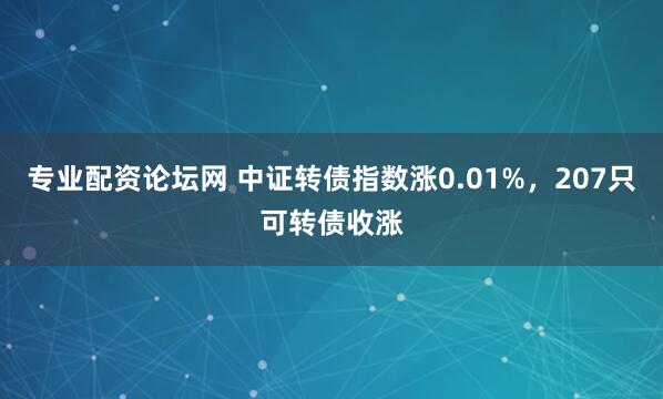 专业配资论坛网 中证转债指数涨0.01%，207只可转债收涨