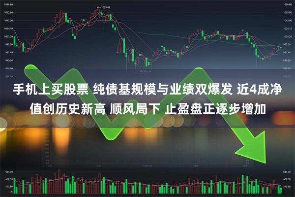 手机上买股票 纯债基规模与业绩双爆发 近4成净值创历史新高 顺风局下 止盈盘正逐步增加